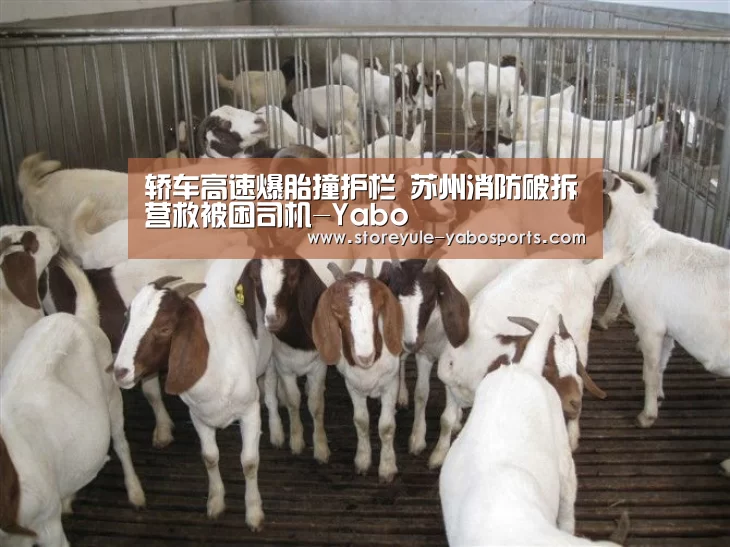 亚博娱乐