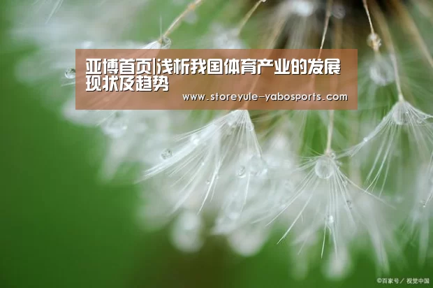 亚博首页|浅析我国体育产业的发展现状及趋势(图1) 亚博娱乐