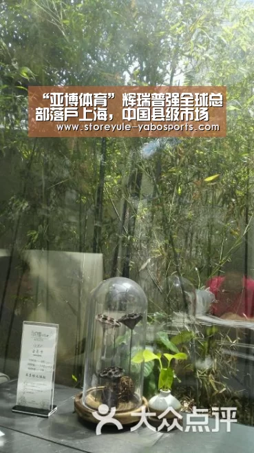 “亚博体育”辉瑞普强全球总部落户上海,中国县级市场将成关注重点(图2) 亚博官网