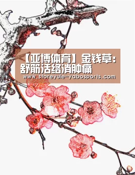 【亚博体育】金钱草:舒筋活络消肿痛(图1) 亚博首页