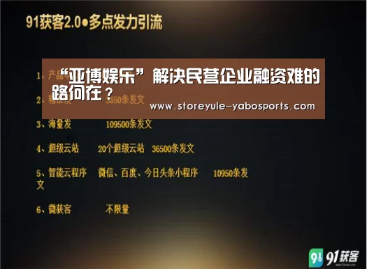 “亚博娱乐”解决民营企业融资难的岀路何在?(图2) 亚博官网